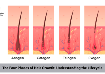 The Four Phases of Hair Growth: Understanding the Lifecycle