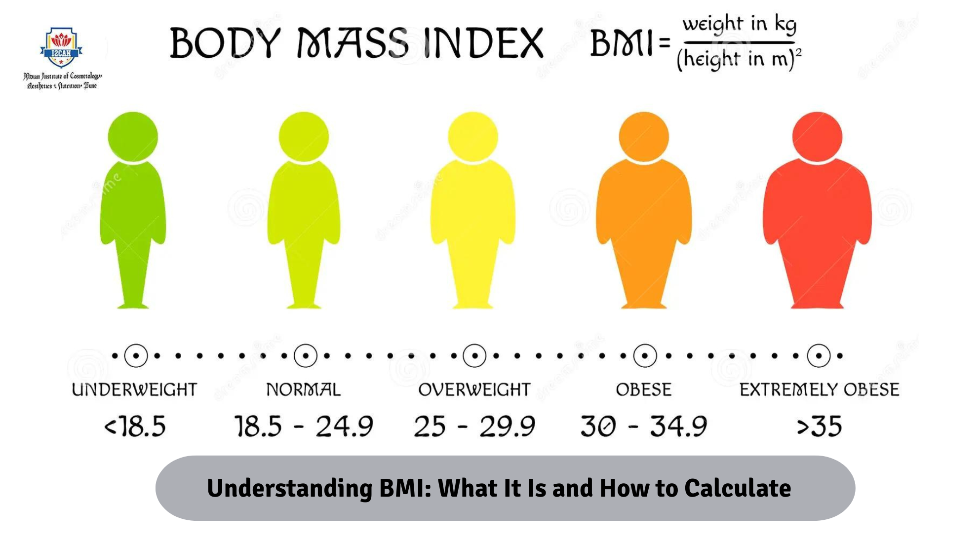 Understanding BMI What It Is And How To Calculate I2CAN An 